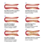 Vascular-Check Pulsoximeter