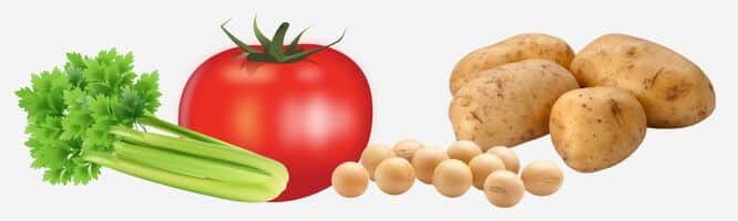 Unverträglichkeiten gegen Gemüse, Tomate, Kartoffel, Sellerie, Sojabohne