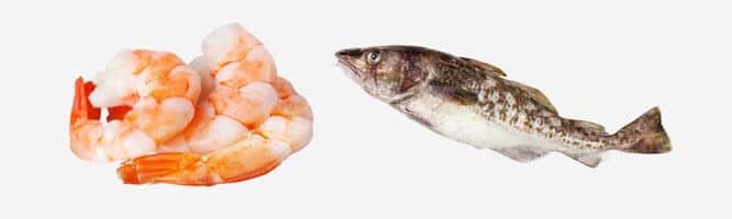 Unverträglichkeiten gegen Fisch & Meeresfrüchte, Dorsch/Kabeljau, Garnele, Krabbe