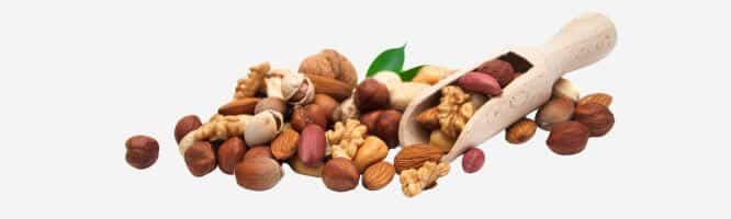 Unverträglichkeiten gegen Nüsse & Samen, Erdnuss, Haselnuss, Mandel, Sesam